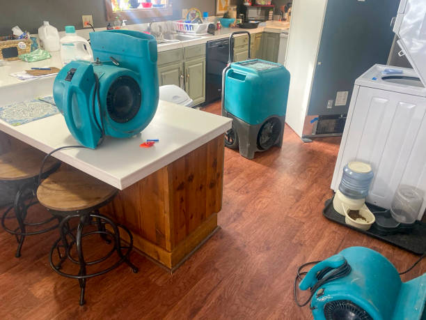 Best Sewage cleanup and water damage restoration  in Delafield, WI
