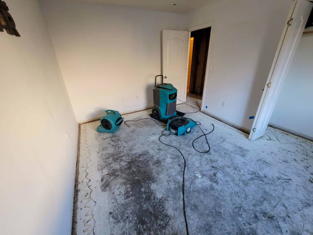 Best Flood restoration services  in Delafield, WI