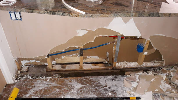 Best Flooded house restoration  in Delafield, WI