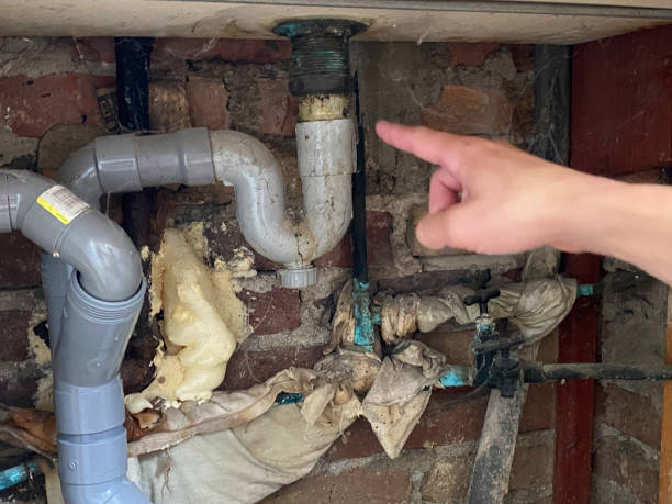 Best Flood damage cleanup  in Delafield, WI