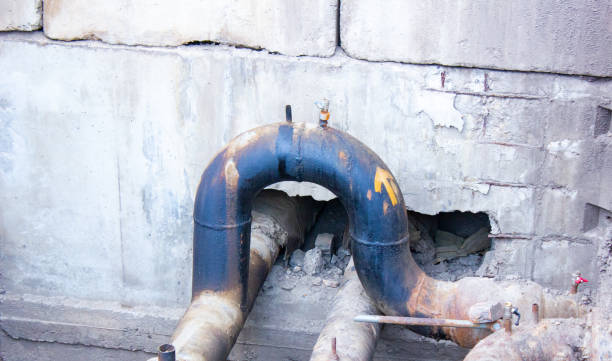 Best Mold removal after water damage  in Delafield, WI