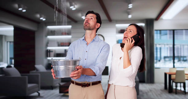 Best Professional water damage repair  in Delafield, WI
