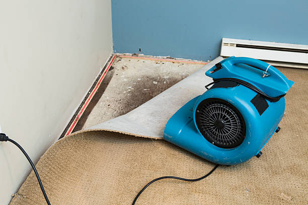 Best Sewage cleanup and water damage restoration  in Delafield, WI